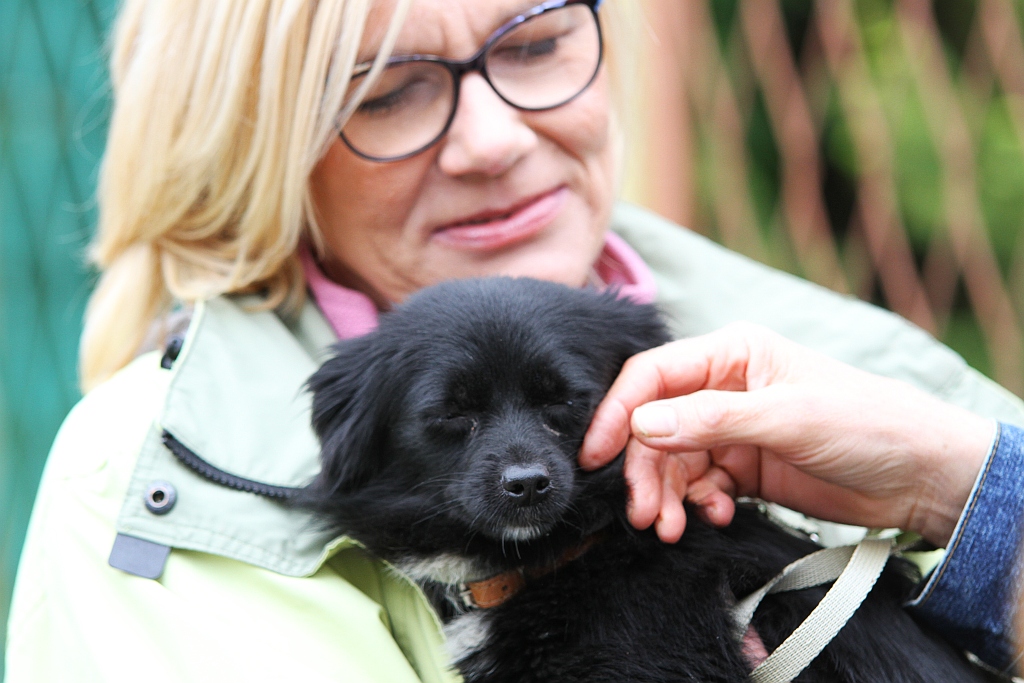 Kilkadziesiąt osób wzięło udział w drugiej edycji Biegu na 6 łap