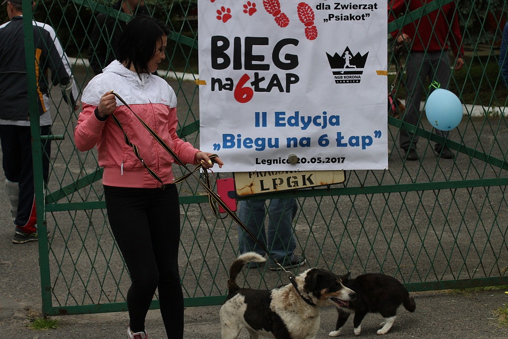 Kilkadziesiąt osób wzięło udział w drugiej edycji Biegu na 6 łap