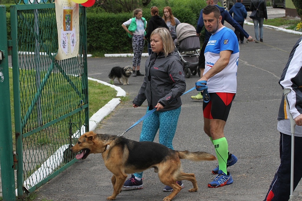 Kilkadziesiąt osób wzięło udział w drugiej edycji Biegu na 6 łap