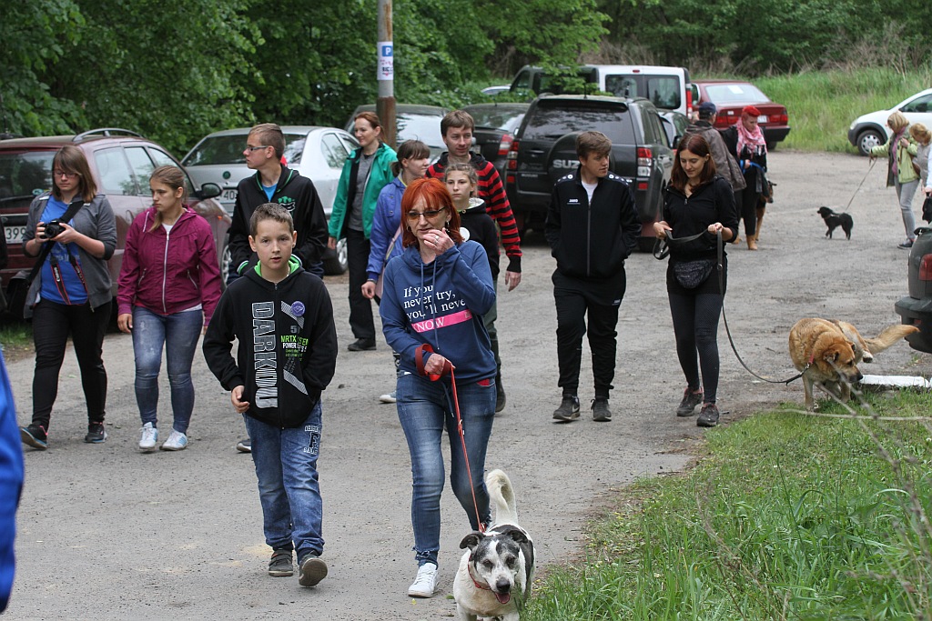 Kilkadziesiąt osób wzięło udział w drugiej edycji Biegu na 6 łap