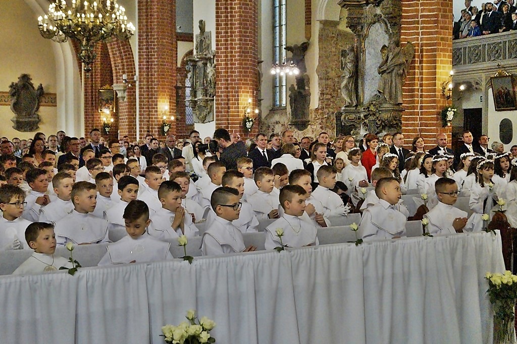Pierwsza Komunia święta w  katedrze św. ap. Piotra i Pawła