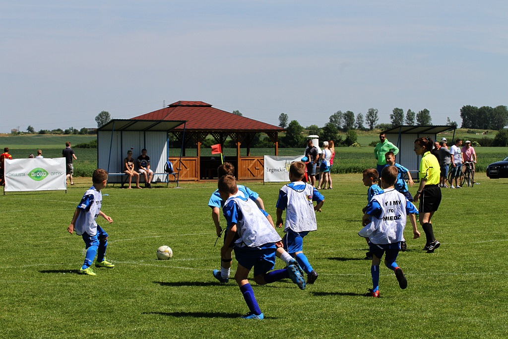 Czternaście drużyn zagrało w turnieju Zryw Cup w Kłębanowicach
