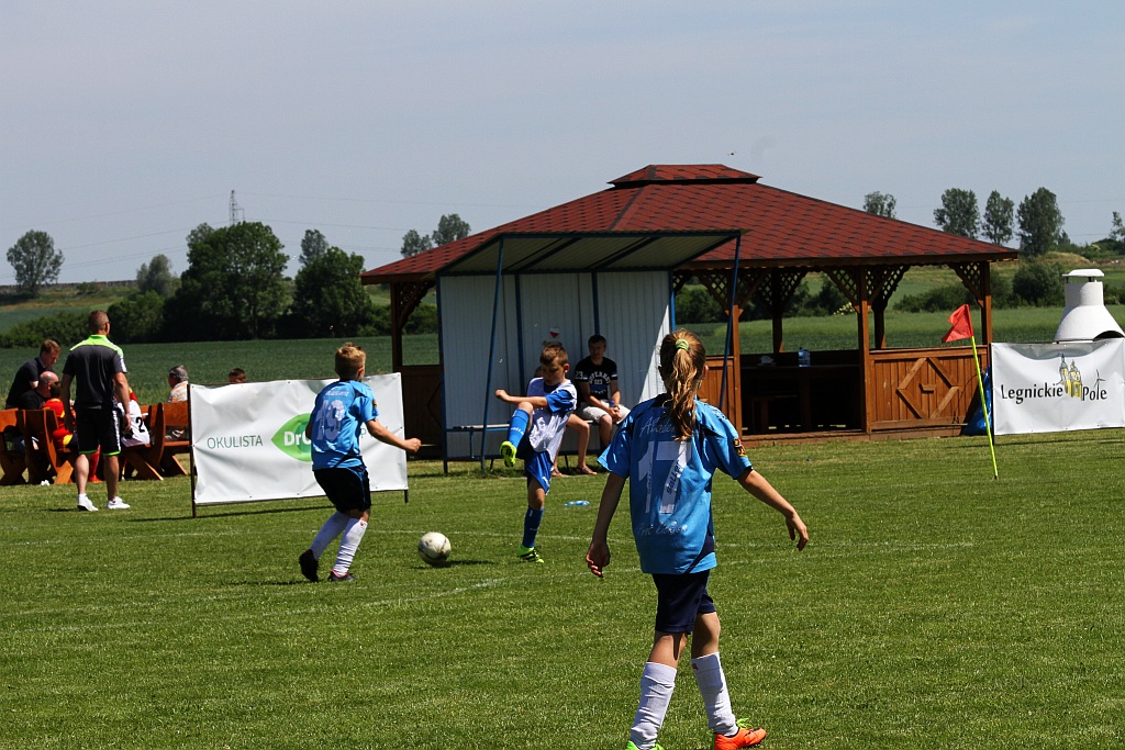 Czternaście drużyn zagrało w turnieju Zryw Cup w Kłębanowicach