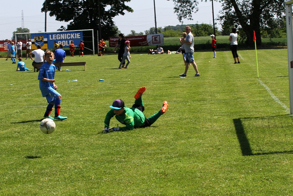 Czternaście drużyn zagrało w turnieju Zryw Cup w Kłębanowicach