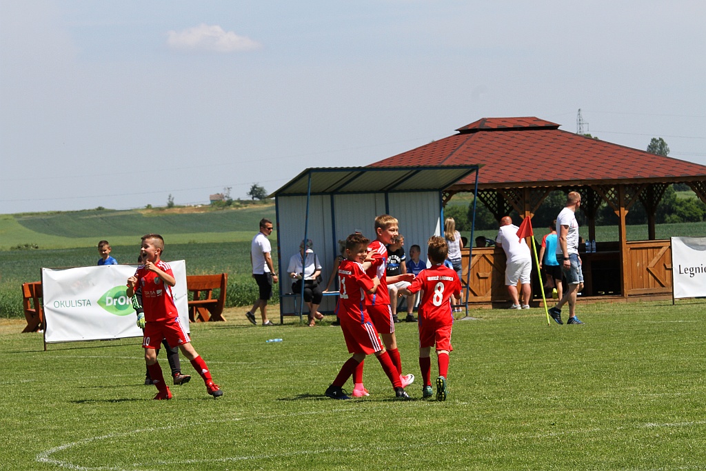Czternaście drużyn zagrało w turnieju Zryw Cup w Kłębanowicach