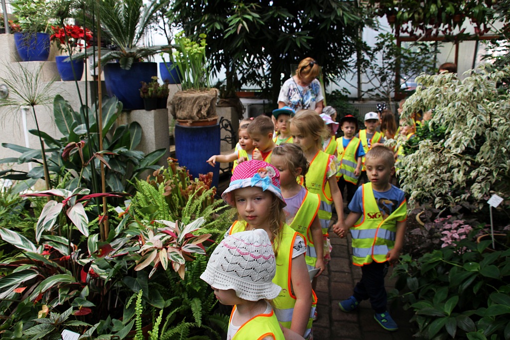 „Żarłoczne rośliny” rozpanoszyły się w legnickiej palmiarni