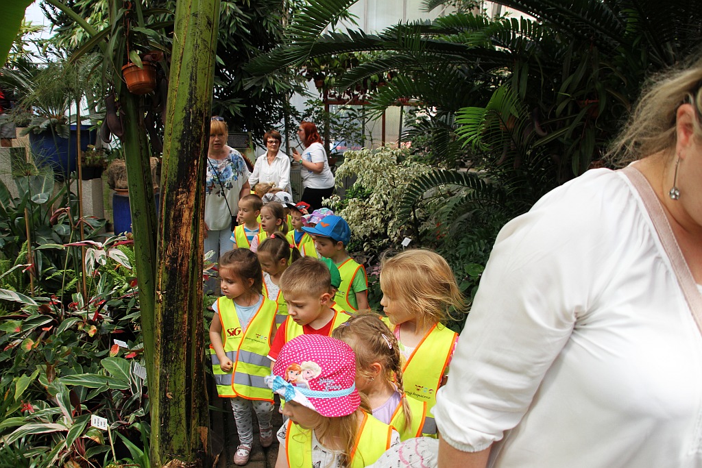 „Żarłoczne rośliny” rozpanoszyły się w legnickiej palmiarni
