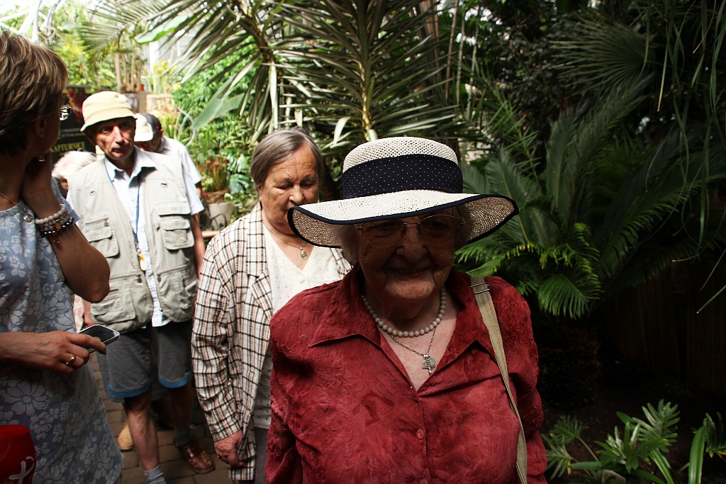 „Żarłoczne rośliny” rozpanoszyły się w legnickiej palmiarni