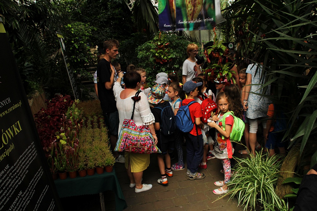 „Żarłoczne rośliny” rozpanoszyły się w legnickiej palmiarni