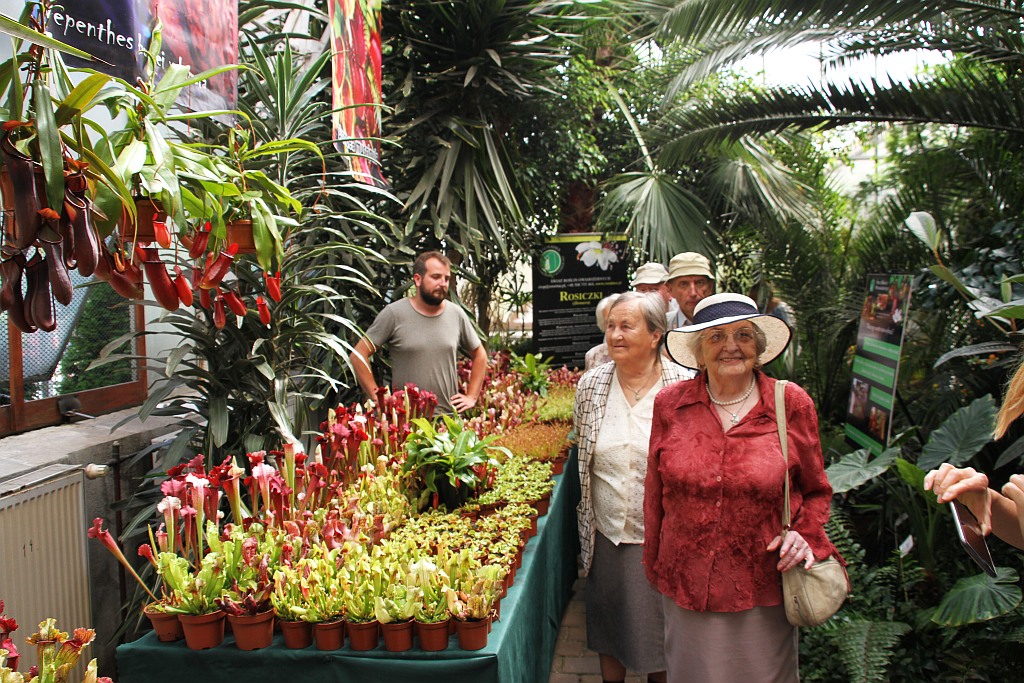 „Żarłoczne rośliny” rozpanoszyły się w legnickiej palmiarni