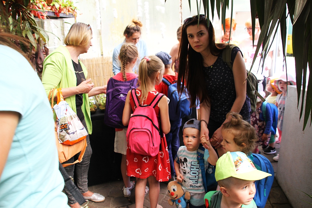 „Żarłoczne rośliny” rozpanoszyły się w legnickiej palmiarni