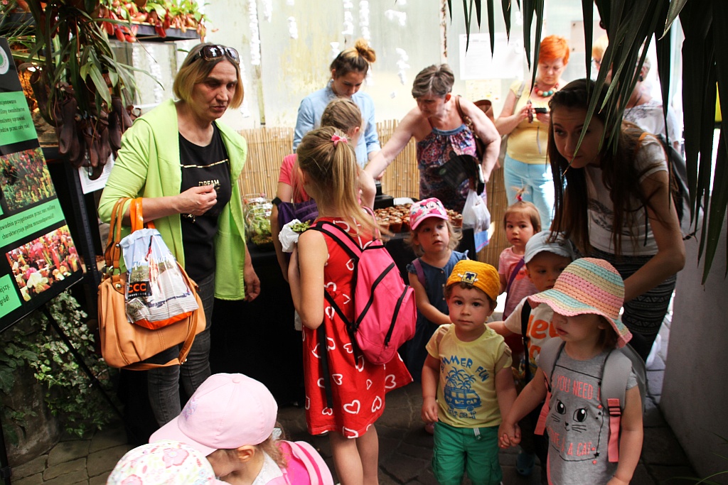 „Żarłoczne rośliny” rozpanoszyły się w legnickiej palmiarni