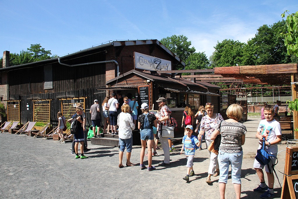 „Żarłoczne rośliny” rozpanoszyły się w legnickiej palmiarni