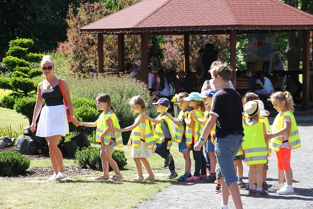 „Żarłoczne rośliny” rozpanoszyły się w legnickiej palmiarni