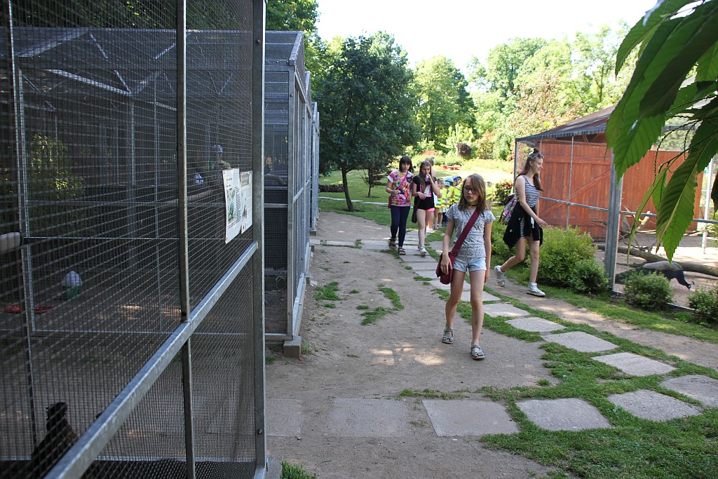 „Żarłoczne rośliny” rozpanoszyły się w legnickiej palmiarni