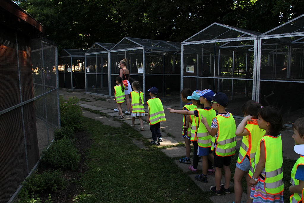 „Żarłoczne rośliny” rozpanoszyły się w legnickiej palmiarni