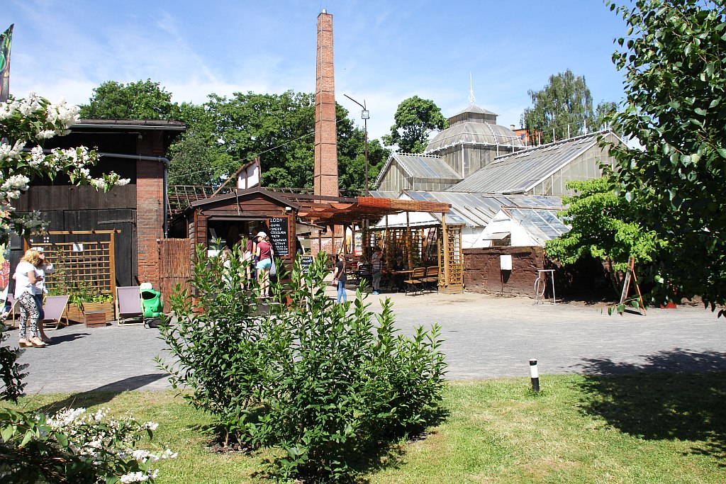 „Żarłoczne rośliny” rozpanoszyły się w legnickiej palmiarni