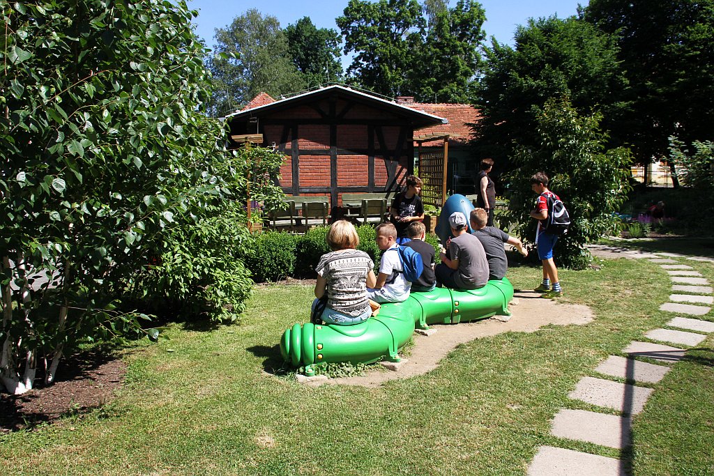 „Żarłoczne rośliny” rozpanoszyły się w legnickiej palmiarni