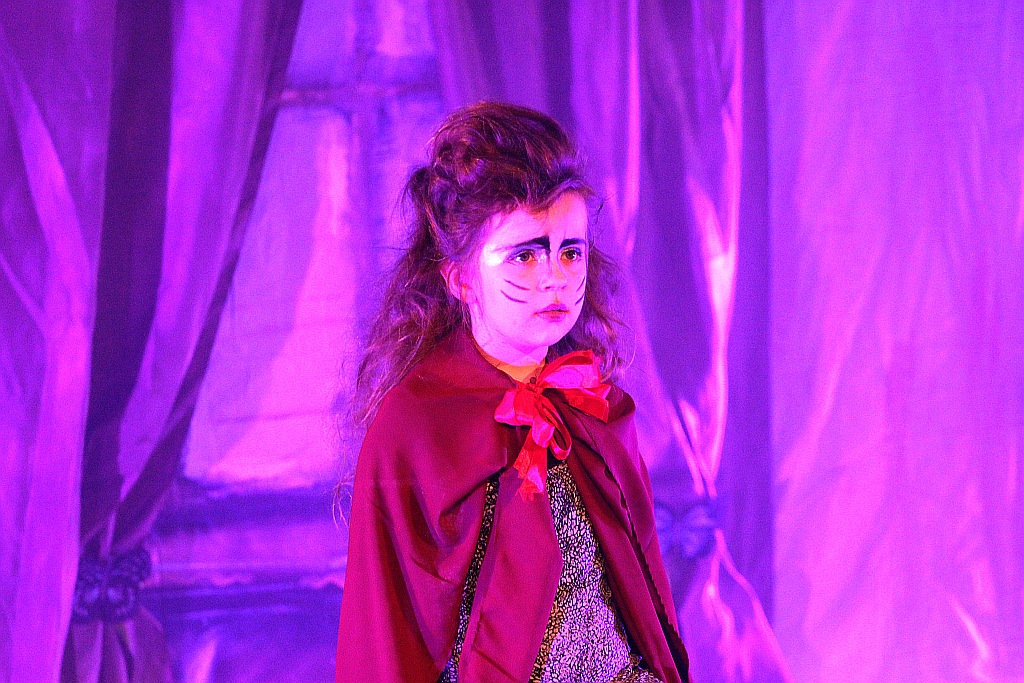 Spektakl teatralny z okazji Dnia Rodzicielstwa Zastępczego 

