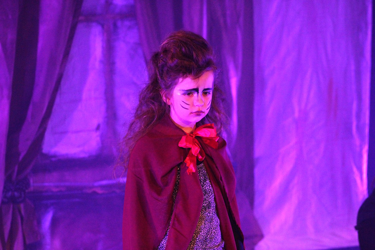 Spektakl teatralny z okazji Dnia Rodzicielstwa Zastępczego 
