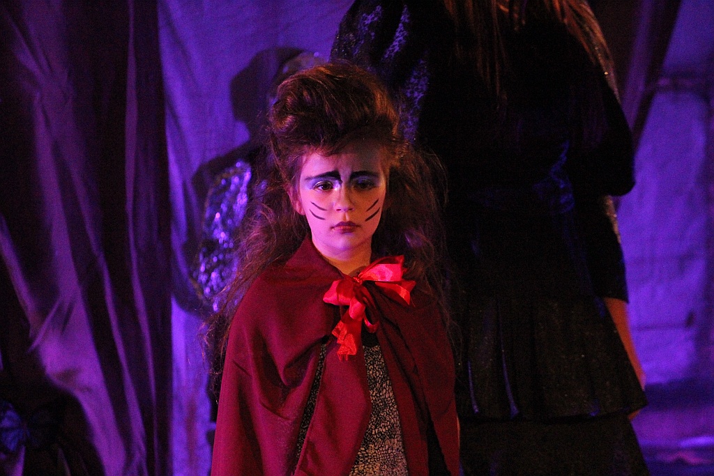 Spektakl teatralny z okazji Dnia Rodzicielstwa Zastępczego 
