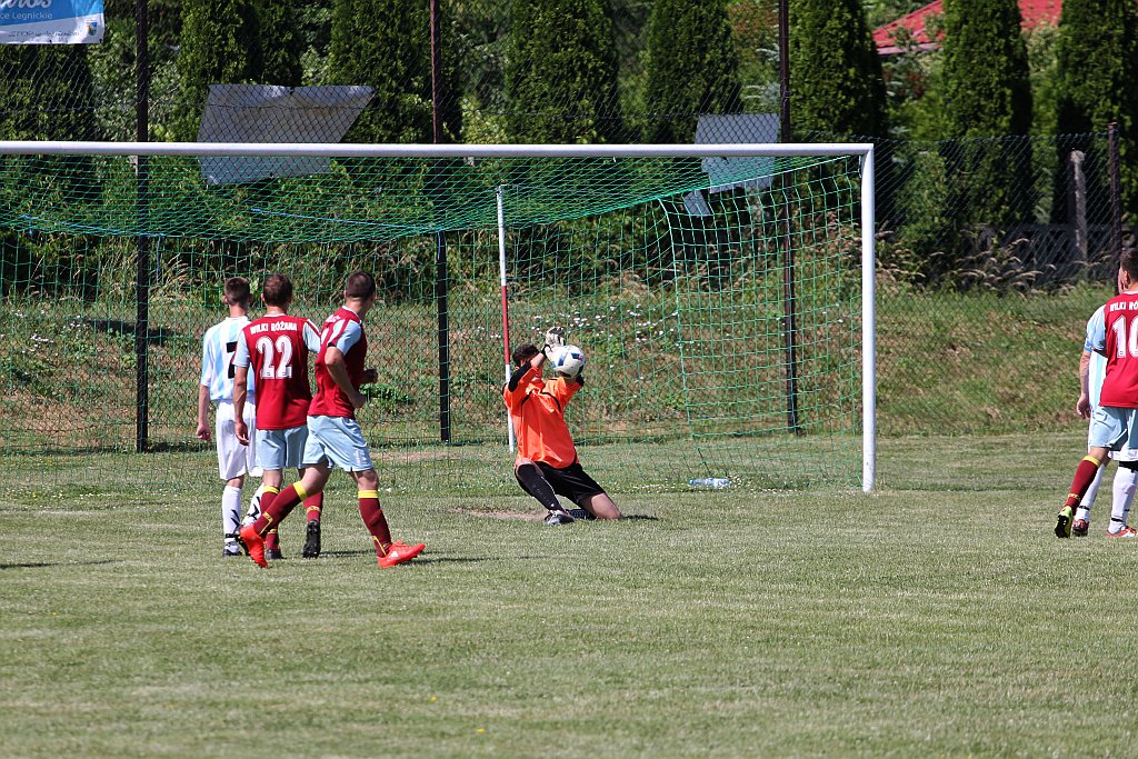 Albatros Jaśkowice zakończył sezon zwycięstwem nad Wilkami