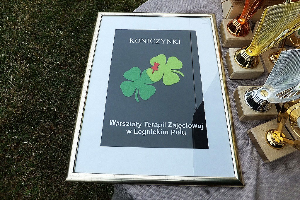 Niepełnosprawni z regionu zmagali się w Legnickim Polu