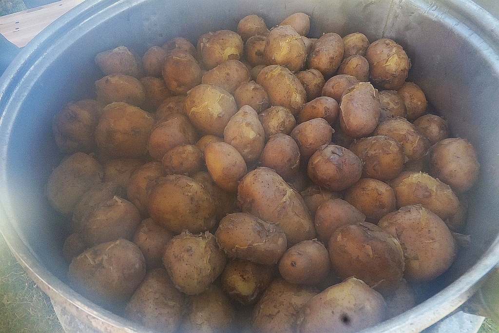 W piątek o piątej mieszkańcy Piekar powitali wakacje