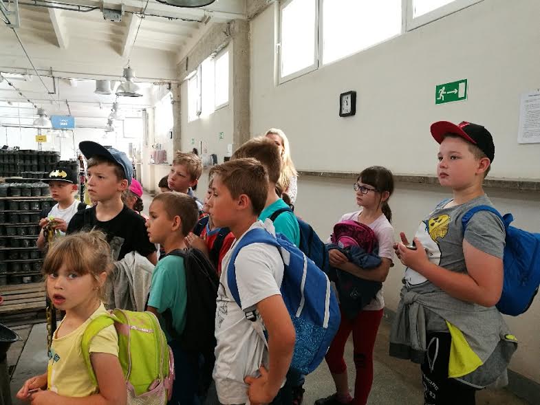Półkolonie w Młodzieżowym Centrum Kultury na półmetku