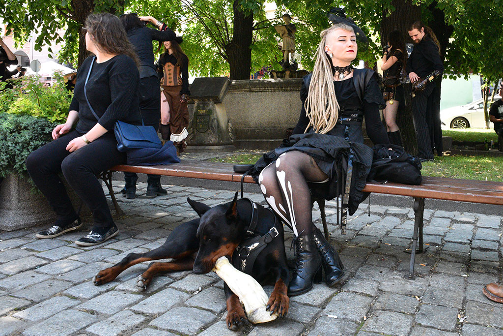 Castle Party Dark Independent Festival na zamku w Bolkowie