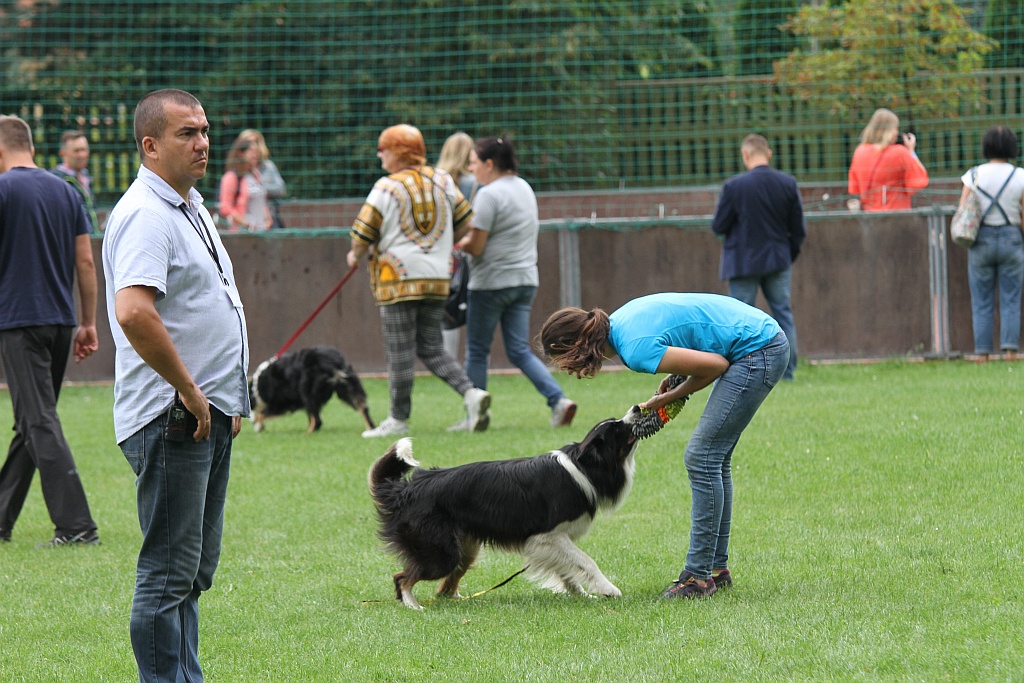 Psy myśliwskie znów goszczą na wystawie w Legnickim Polu
