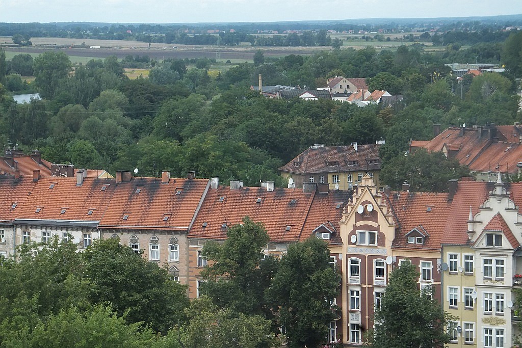 Odkrywali tajemnice kryjące się w wieży Świętego Piotra