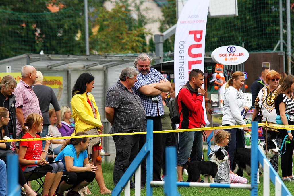 Psy myśliwskie znów goszczą na wystawie w Legnickim Polu