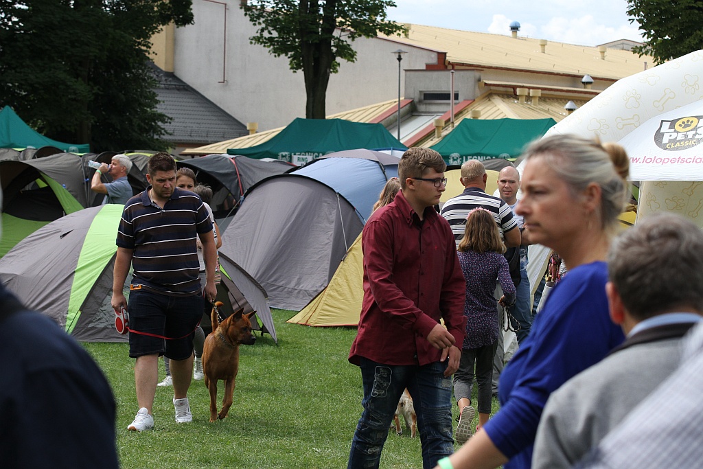 W Legnickim Polu odbyła się XVII Krajowa Wystawa Psów Rasowych