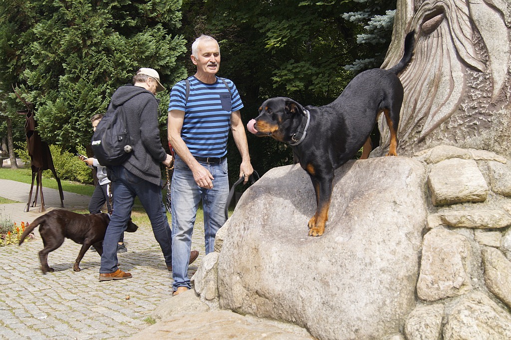 Wakacje z psem w Karpaczu organizowane przez Champion