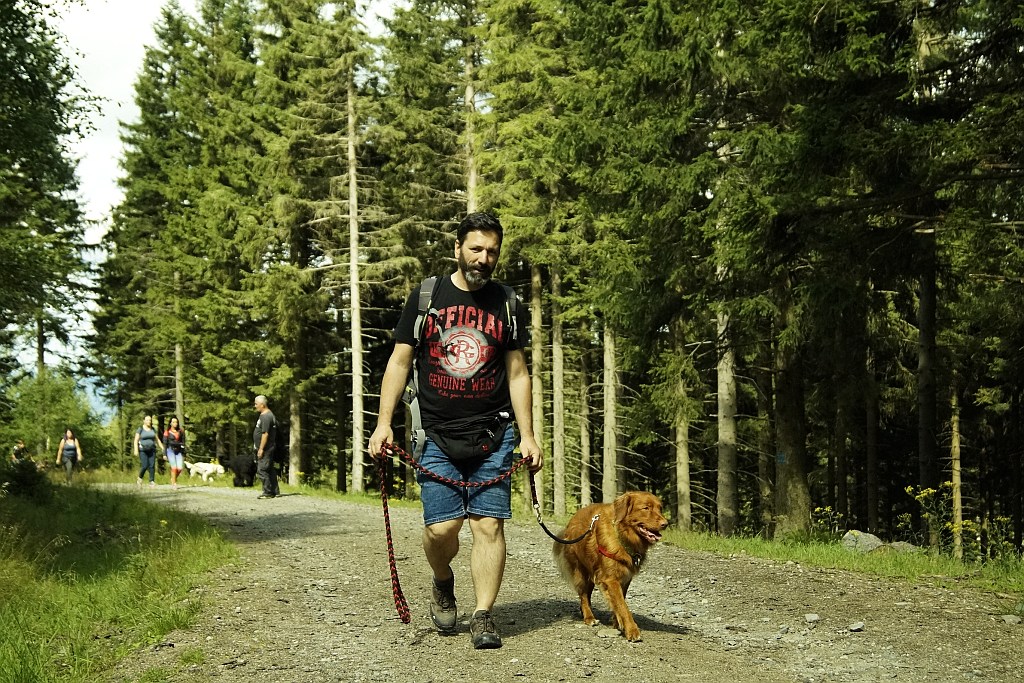 Wakacje z psem w Karpaczu organizowane przez Champion