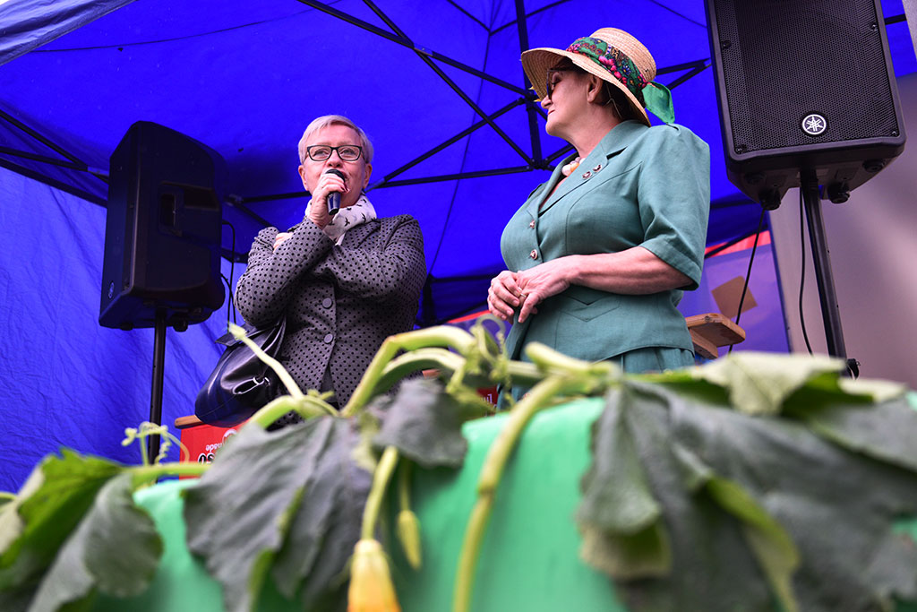 W legnickim rynku odbyło się wielkie „Święto Ogórka”