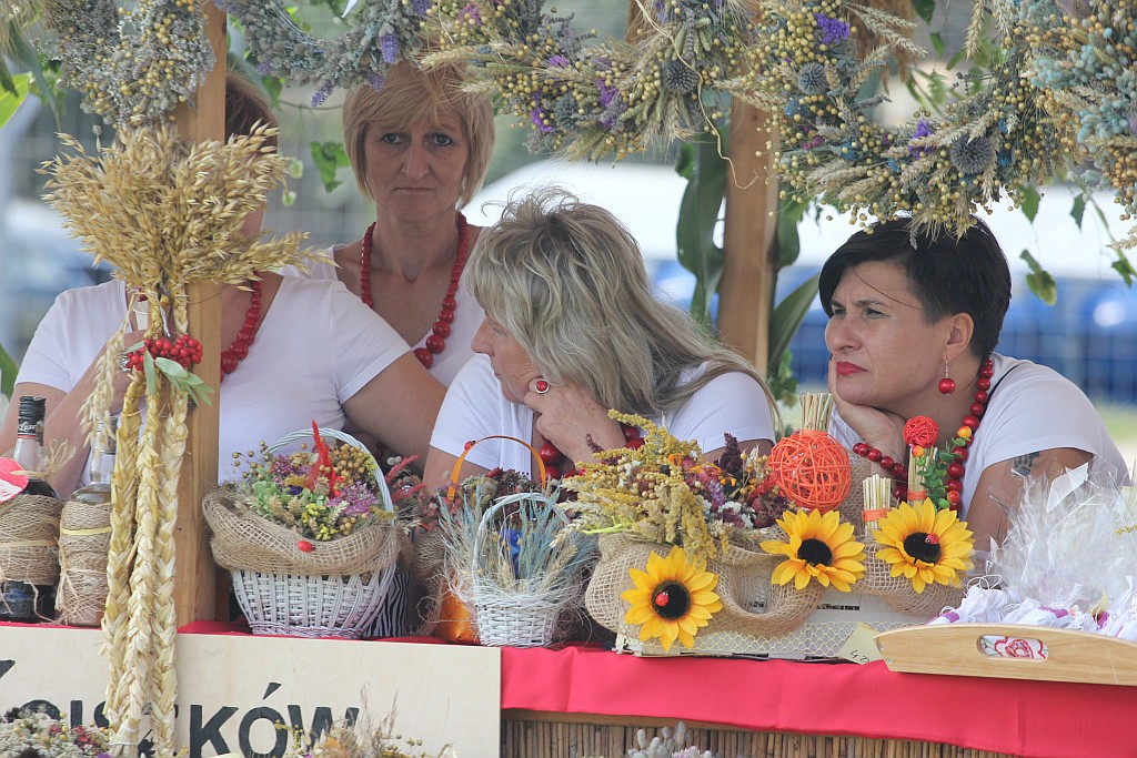 Gmina Legnickie Pole w sobotę bawiła się na dożynkach