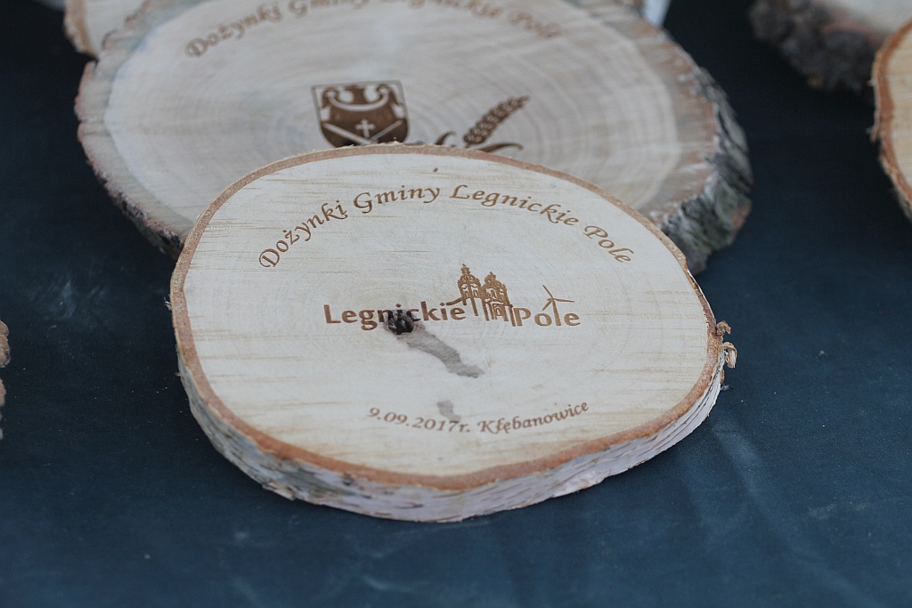 Gmina Legnickie Pole w sobotę bawiła się na dożynkach
