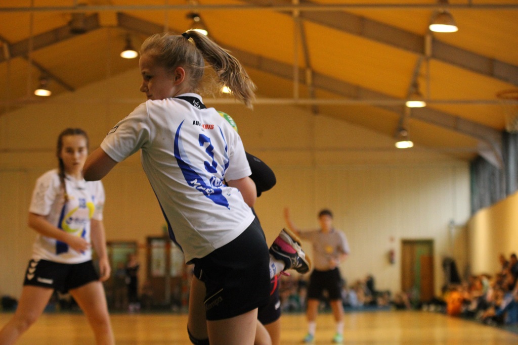 Lion Cup 2017: Victoria Świebodzice - UKS Dziewiątka Legnica