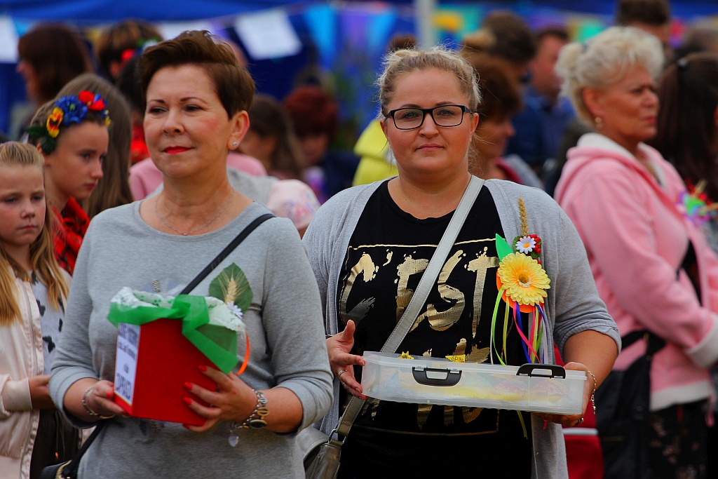 Na stadionie w Prochowicach odbyły się gminne dożynki