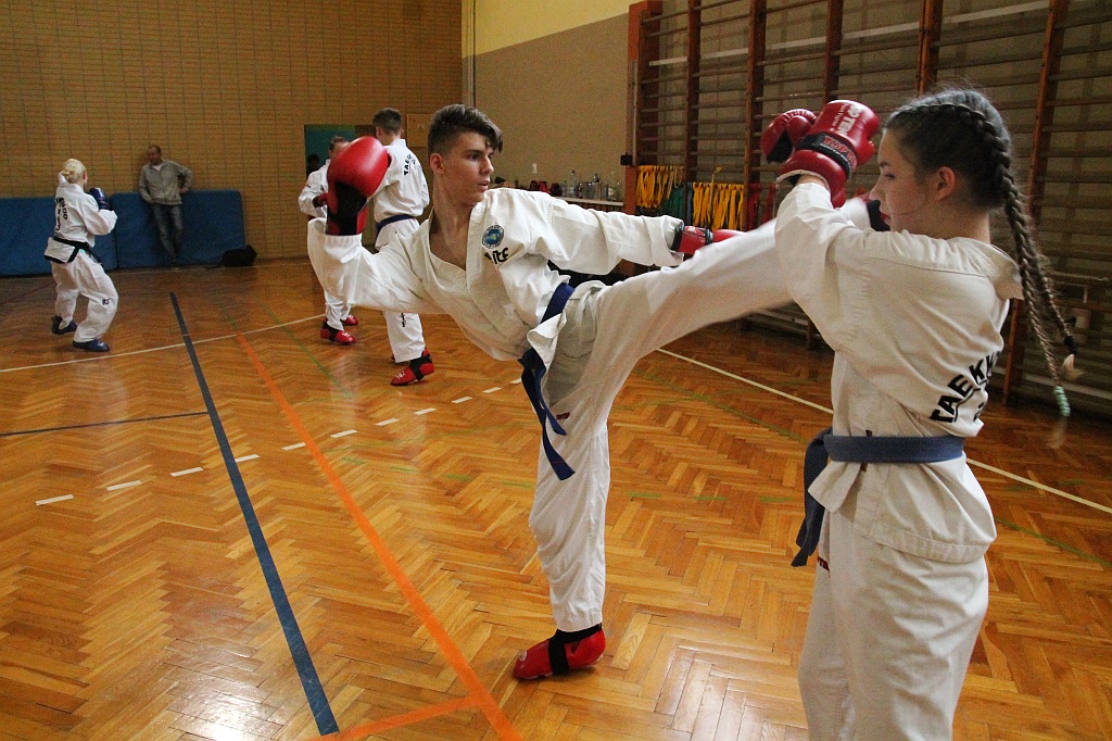 Legnicki Klub Taekwon-do przygotowuje się do nowego sezonu