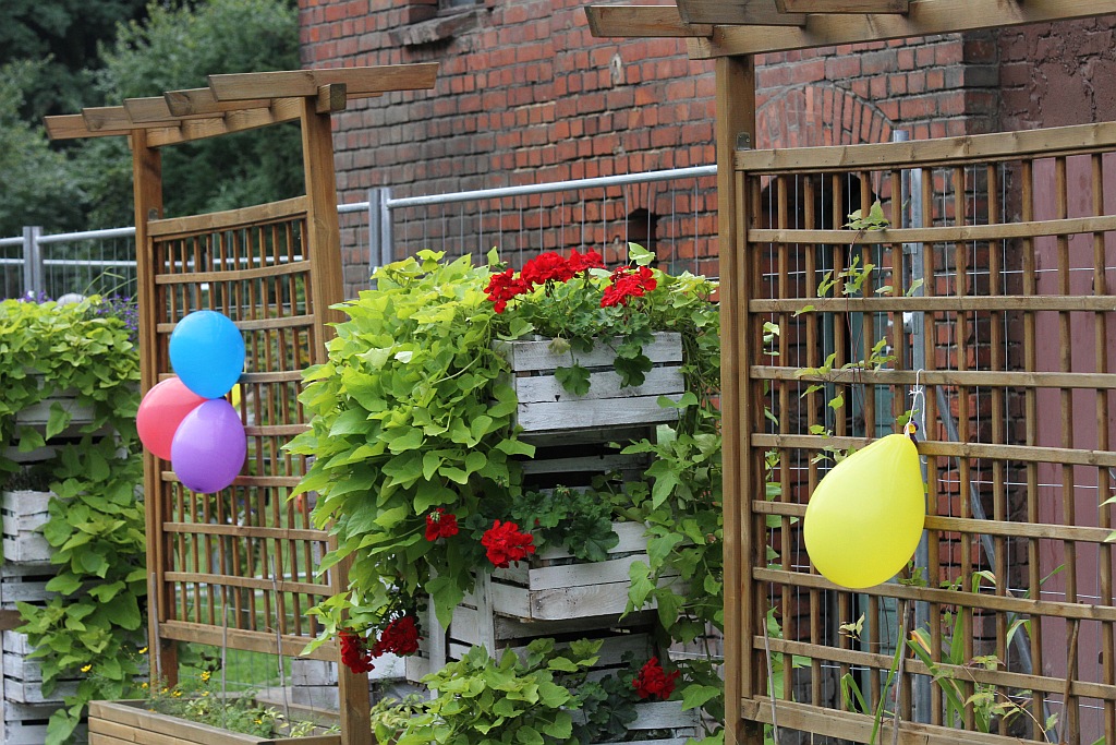 Legnickie Mini Zoo obchodziło swoje trzecie urodziny