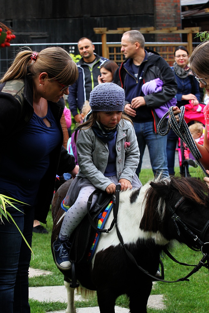 Legnickie Mini Zoo obchodziło swoje trzecie urodziny