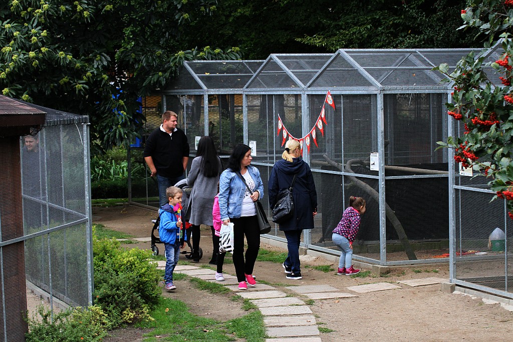 Legnickie Mini Zoo obchodziło swoje trzecie urodziny