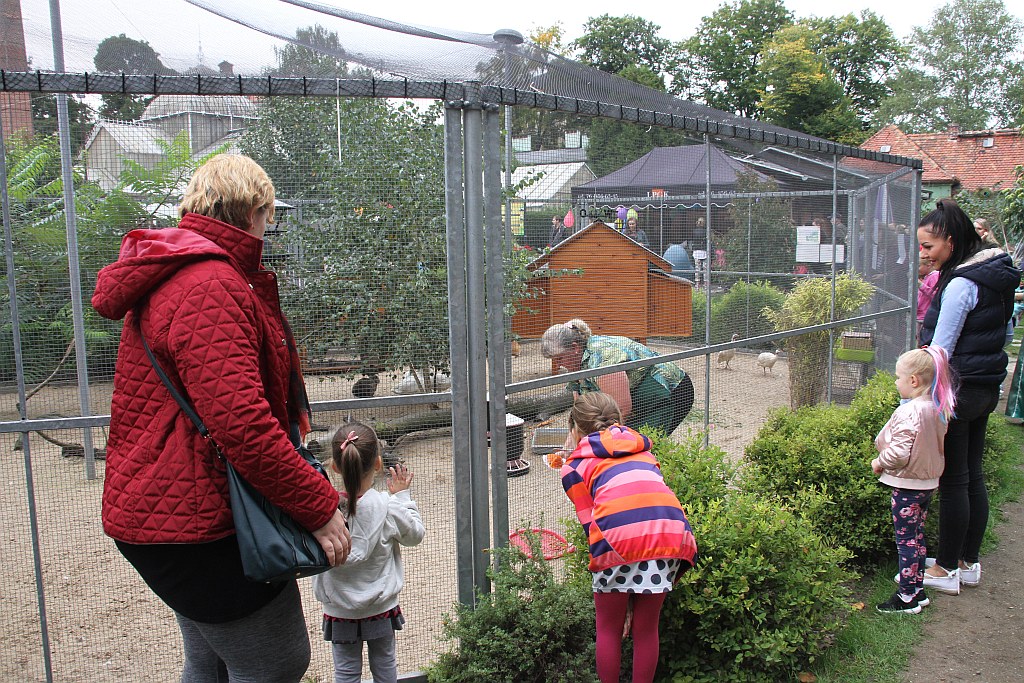 Legnickie Mini Zoo obchodziło swoje trzecie urodziny