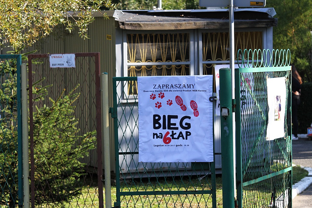 Po raz trzeci legniczanie pobiegli w Biegu na 6 Łap