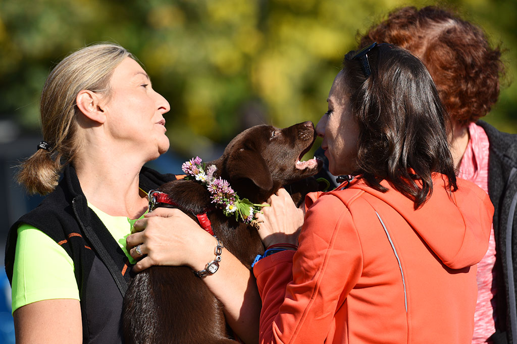 Puchar Europy i Mistrzostwa Europy w nordic walking