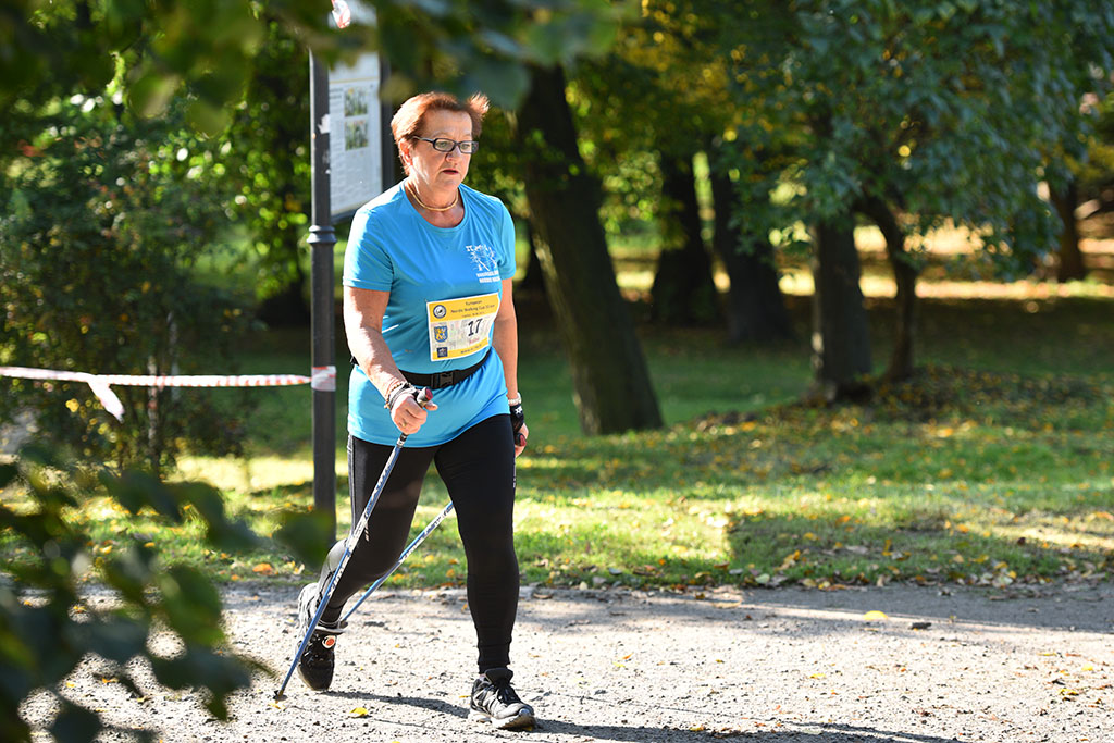Puchar Europy i Mistrzostwa Europy w nordic walking