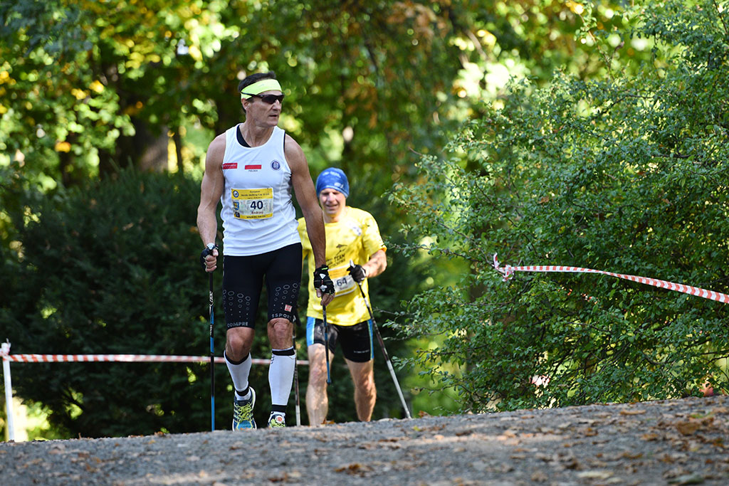 Puchar Europy i Mistrzostwa Europy w nordic walking